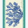 Seaside Breeze Pareo - Blue